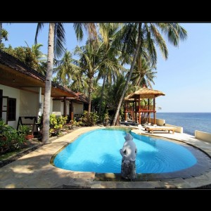 Relax Bali resort - part Monkey