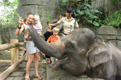 Relax Bali - Děti V.