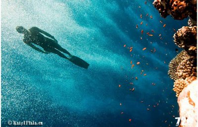 Relax Bali - Freediving II.