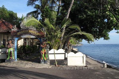 Relax Bali - Monkey Superior