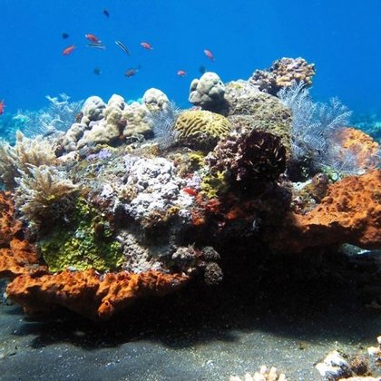 Základní kurz Open Water Diver (OWD)