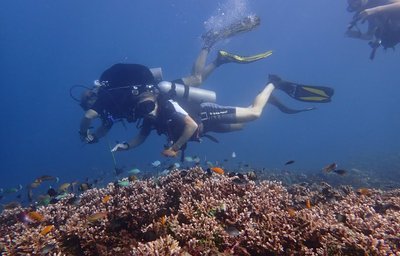 Relax Bali - OWD XII.