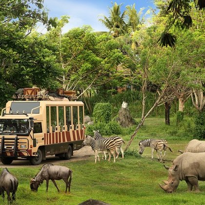 Bali Safari Park