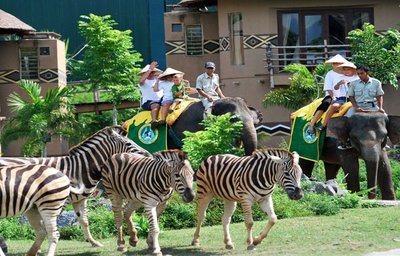 Relax Bali - Safari park