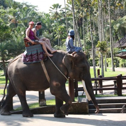 Sloní park Taro, Monkey Forest