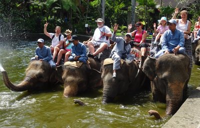 Relax Bali - Sloni III.