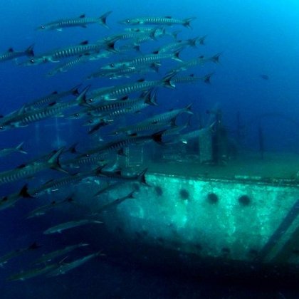 Kurz Stress and Rescue