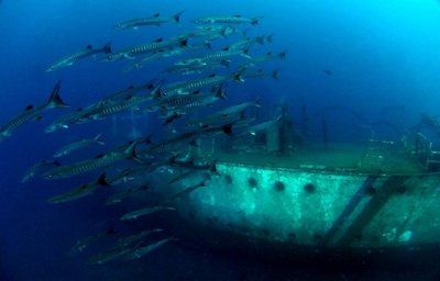 Relax Bali - diving wreck Stress and Rescue II.