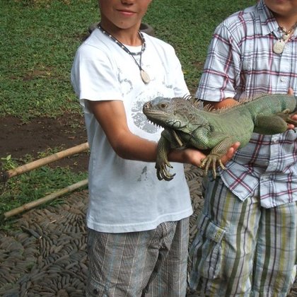 Ptačí a plazí park, umělecké dílny v Ubudu, Gunung Kawi