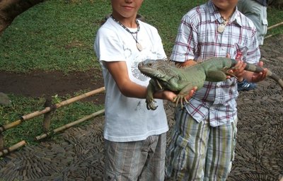 Relax Bali - Ubud a parky II.