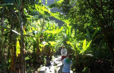 Relax Bali - Vodopád LES III.