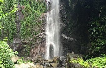 Relax Bali - Vodopád LES V.