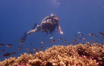 Relax Bali - diving Zkušební ponor V.