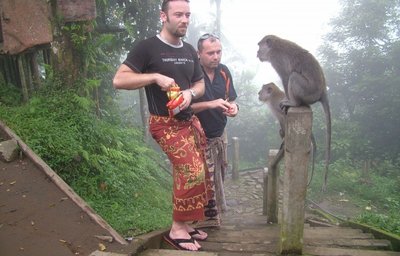 Relax Bali - císařské zahrady IV.