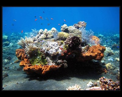 Relax Bali - eko III.