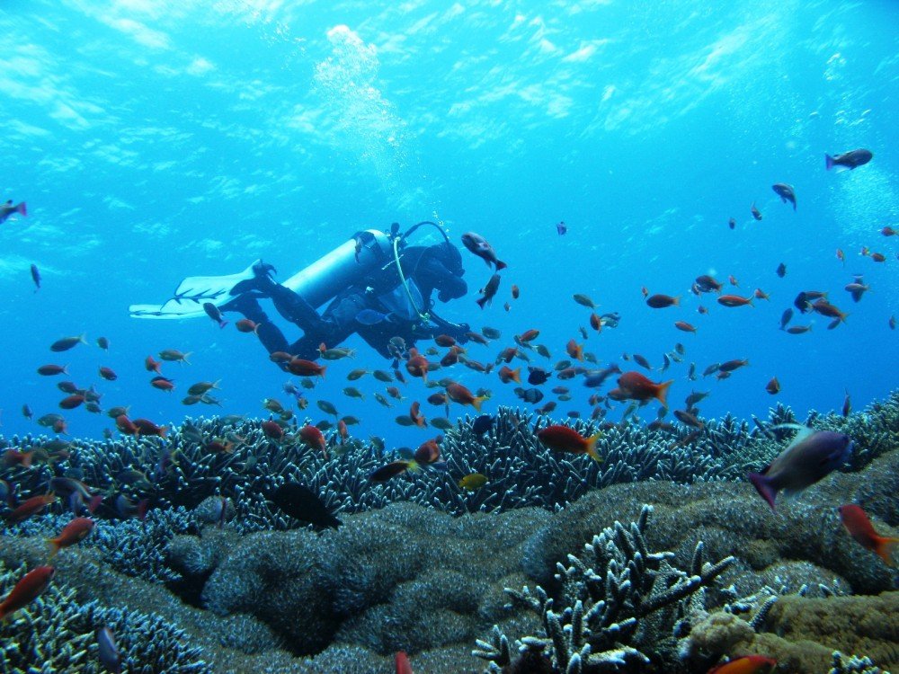 Potápěčské centrum Relax Bali