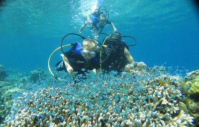 Relax Bali Dive - Scuba Rangers VI.